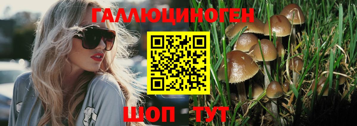 Псилоцибиновые грибы мицелий  где купить наркоту  Ухта  Вход с VPN 