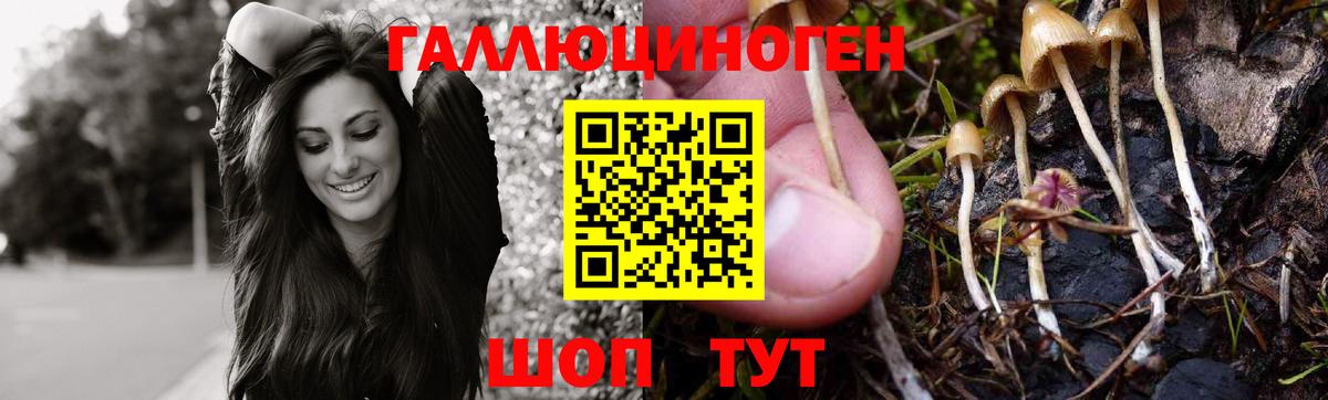 Псилоцибиновые грибы мицелий Ухта